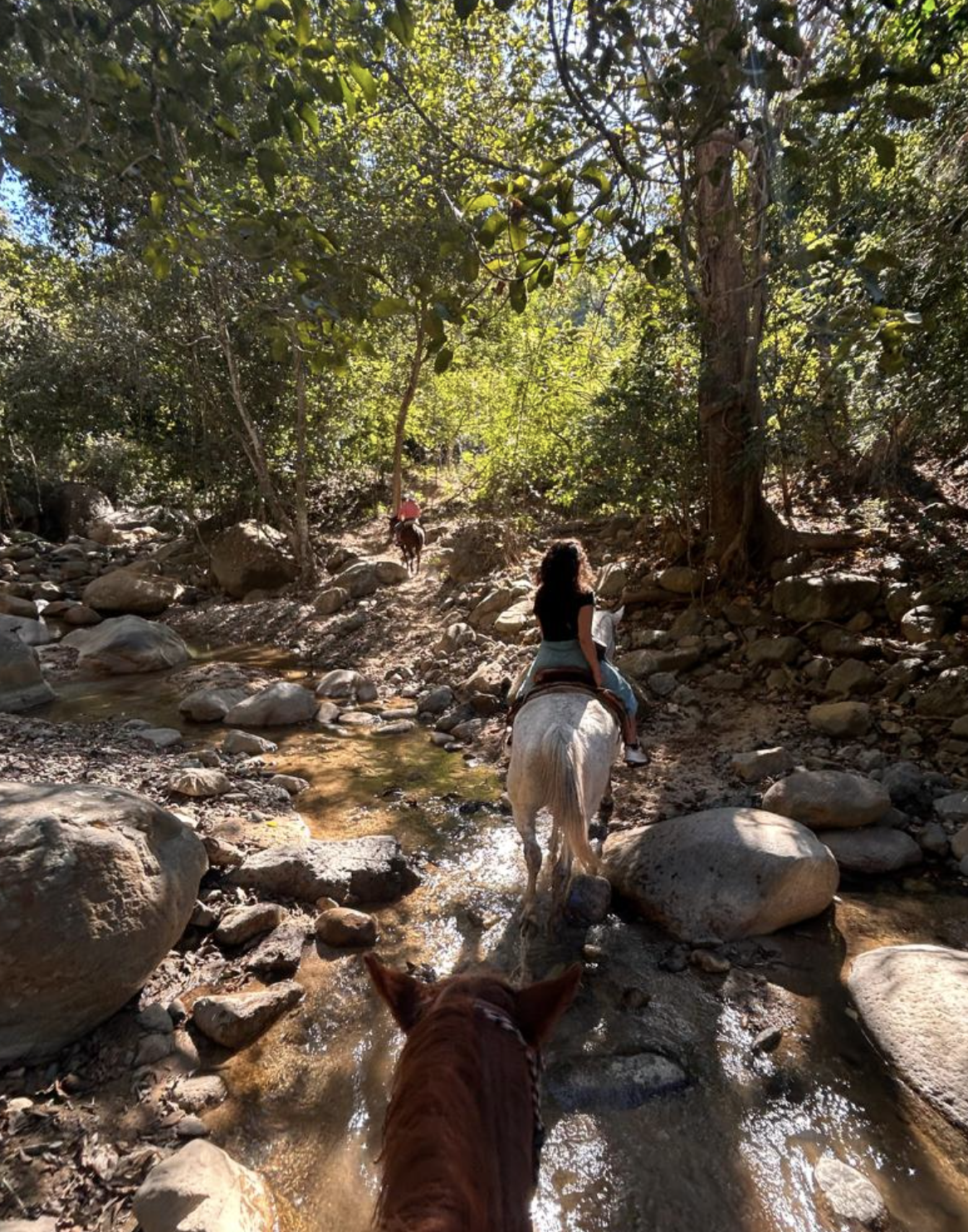 PASEOS CABALLOS