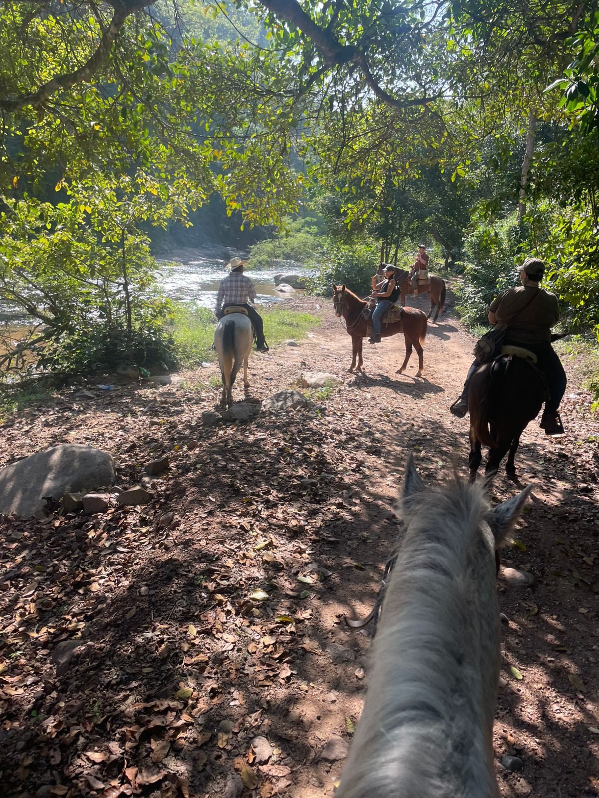 paseo a caballo